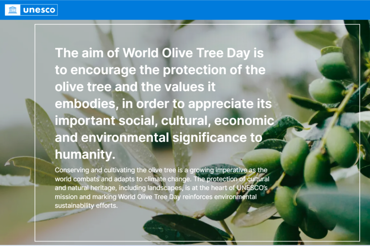 Celebrating UNESCO World Olive Tree Day